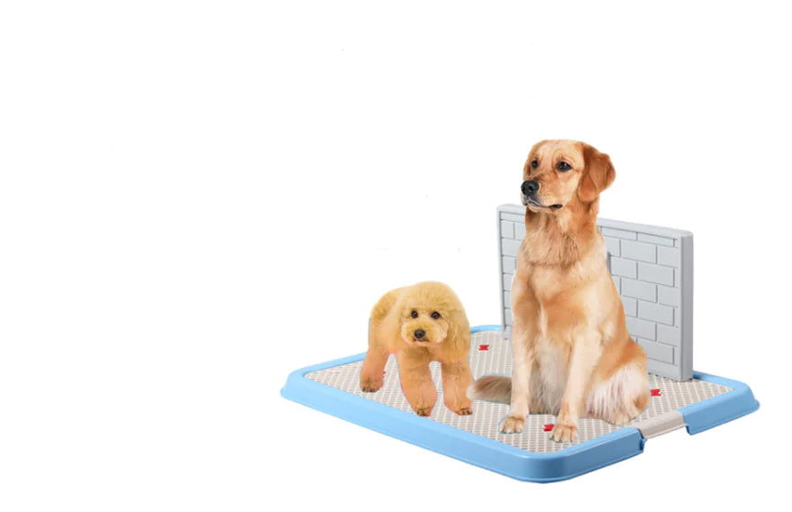 Dog Urinal Potty for Puppies and Small Breeds