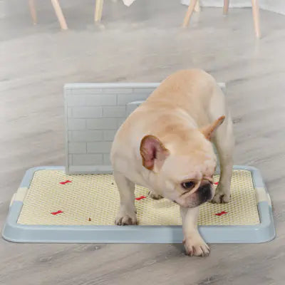Dog Urinal Potty for Puppies and Small Breeds