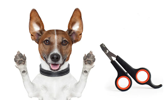 Dog Nail Clipper, Pet Nail Scissors, Stainless Steel